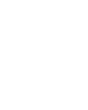 marca d'agua paysandu